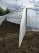 Poza cu Folie pentru solarii Sotrafa Spania 180 microni