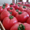 Poza cu Pink Rock F1 – semințe de tomate roz 250–300 g pentru seră