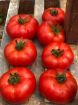 Poza cu Ozkan F1 – semințe de tomate 200–220 g pentru seră și câmp