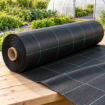 Poza cu Agrotextil negru anti buruieni 100 g/mp - folie profesională pentru agricultură GeoTerra